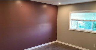 Servicios de pintura profesional