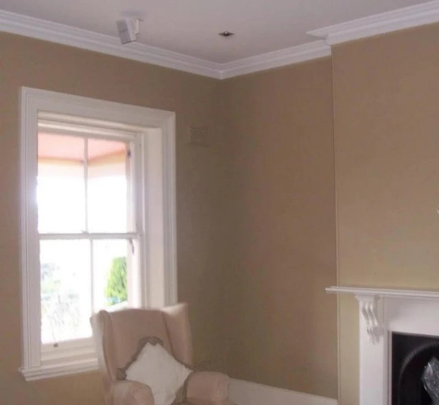 Servicios de pintura profesional