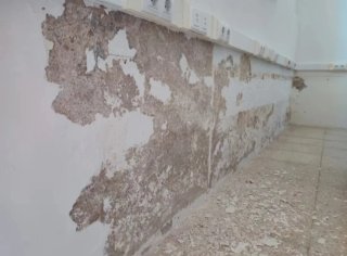 Servicio de pintura profesional