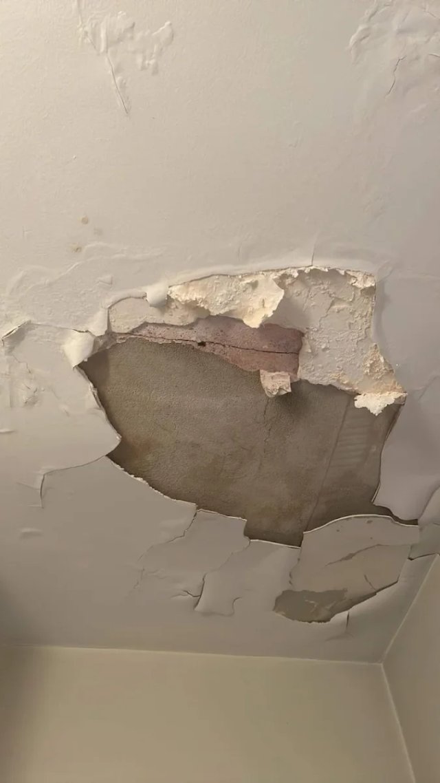 Servicio de pintura profesional