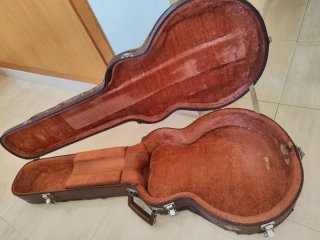 Chitarre elettrica tipo Les Paul