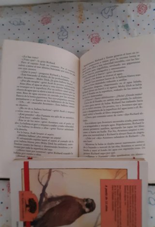 Libros juveniles