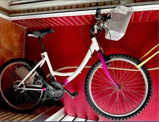 Bici niña de 21”