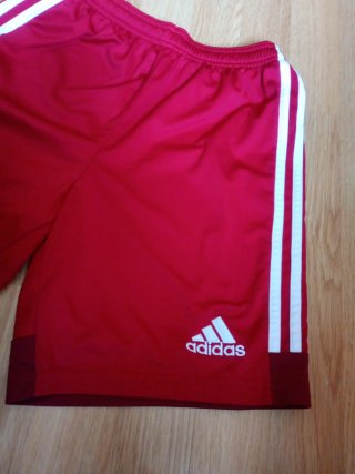 Pantalón corto Adidas Real Zaragoza Rojo
