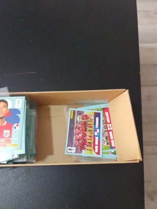 Venta de 100 Cromos Panini Mundial FIFA 2026