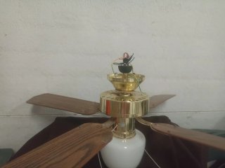 Ventilador de techo dorado y blanco