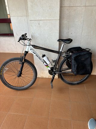 Bicicleta Orbea Montaña adulto