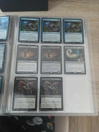 Lote de cartas Magic: The Gathering