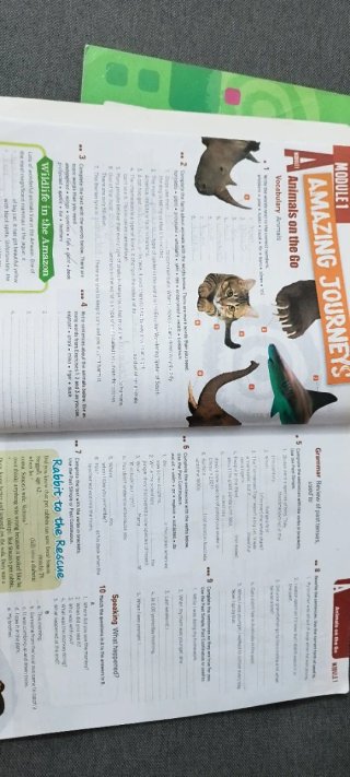 Libros inglés Burlington options 3ESO