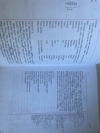 Lingua latina per se illustrata
