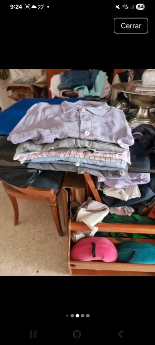 Lote 13 Camisas Caballero Talla L 5 y 7