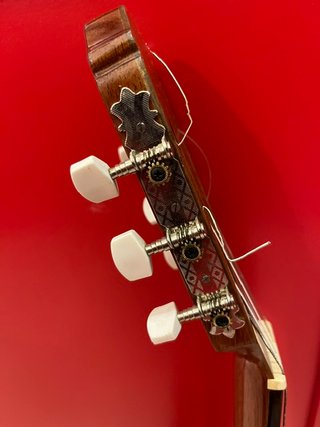 Guitarra Clásica Española con Funda