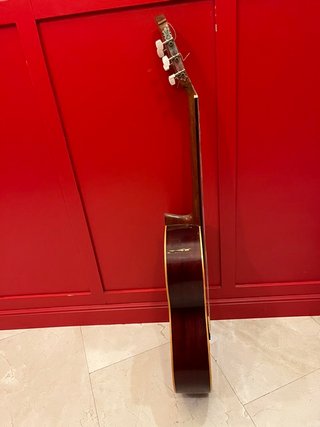 Guitarra Clásica Española con Funda