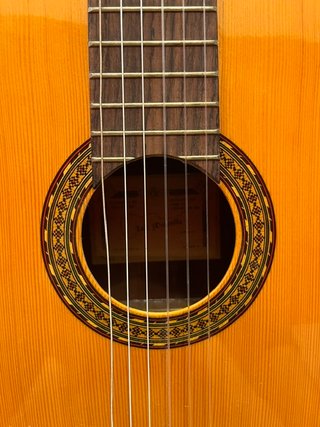 Guitarra Clásica Española con Funda