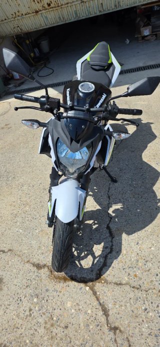 Kawasaki Z125 2021 Negra, Verde y Blanca