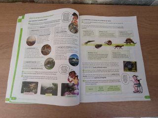 Ciencias de la Naturaleza, 6 Primaria, Castilla...