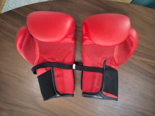 Guantes de Boxeo Outshock 10 OZ Rojos