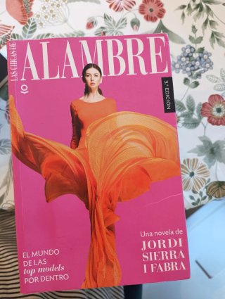 Las chicas de alambre