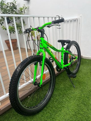 Bicicleta Aurelia Plus 24 Verde