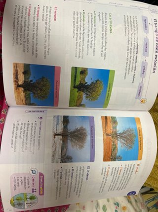 Ciencias Sociales 3 Primaria : Proyecto constru...
