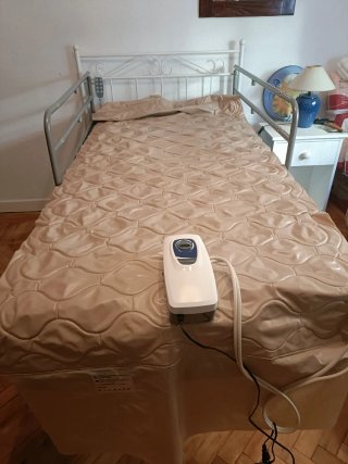 Cama geriátrica articulada con carro elevador