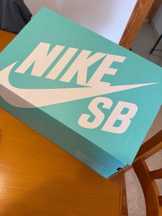Zapatillas Nike SB Force 58 Premium