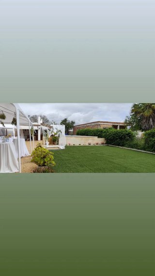 Carpa desmontable blanca