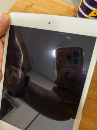 iPad Mini 2 16GB Plata