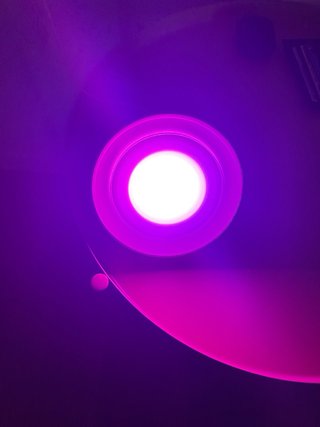 Lampada Philips Lighting LivingColors Bloom