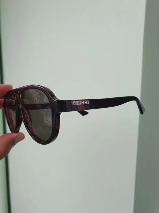 GUCCI tortoise