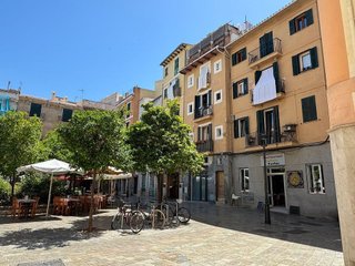 Estudio en alquiler en Sindicat en Palma de Mallorca