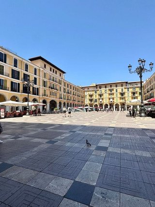 Estudio en alquiler en Sindicat en Palma de Mallorca