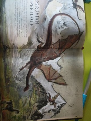 Fantastic Beasts and where to Find Them