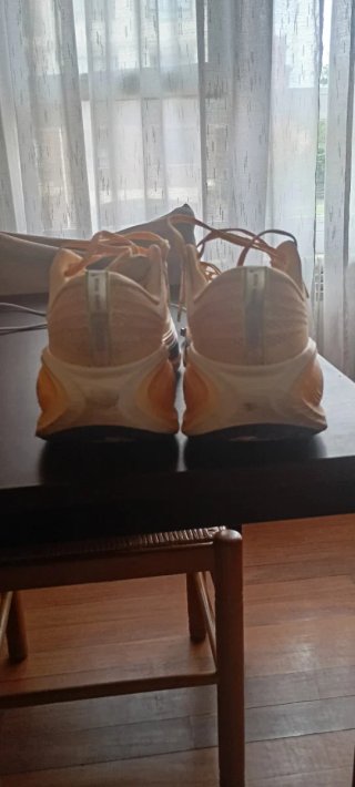 Nike Vomero 45.5 | 132 km