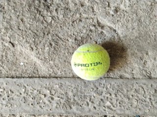 Pelota de pádel Protón