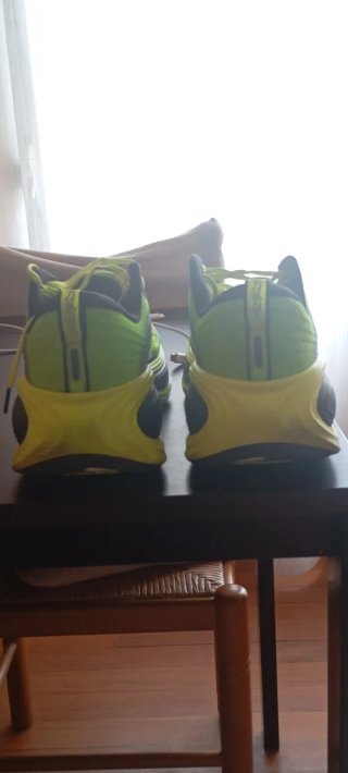 Nike Vomero Plus SE 45.5 | 289 km