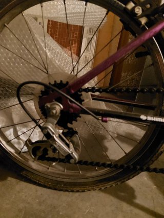 Bicicleta infantil morada 20 pulgadas