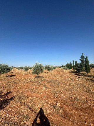 Terreno en venta en Centro en Valdepeñas