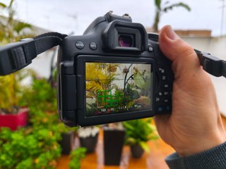 Canon EOS 750D + 50mm f/1.8 + 18-55 + Flash