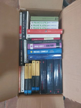 Novela negra