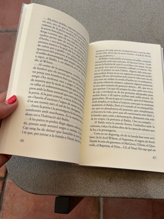 La venjança dels panteres negres