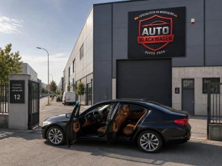 BMW Serie 5 2017