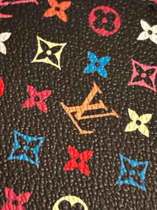 Funda Pasaporte Louis Vuitton Multicolor
