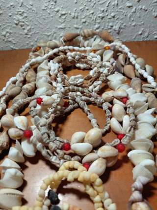 Lote 7 Collares Conchas Tahití Auténtico
