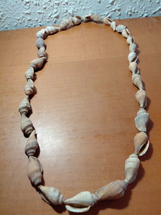 Lote 7 Collares Conchas Tahití Auténtico