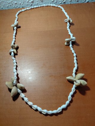 Lote 7 Collares Conchas Tahití Auténtico