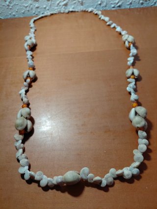 Lote 7 Collares Conchas Tahití Auténtico