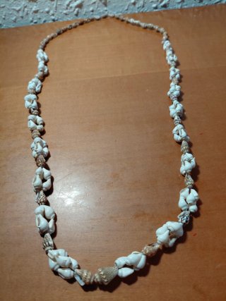 Lote 7 Collares Conchas Tahití Auténtico