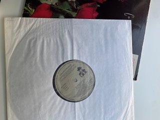 Vinilo LP Concrete Blonde - Bloodletting - 1990