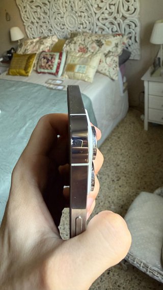 iPhone 14 Pro Max 256GB Plata